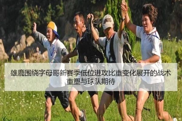 雄鹿围绕字母哥新赛季低位进攻比重变化展开的战术重塑与球队期待
